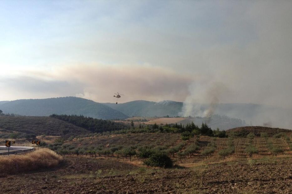 incêndio, mogadouro, bragança
