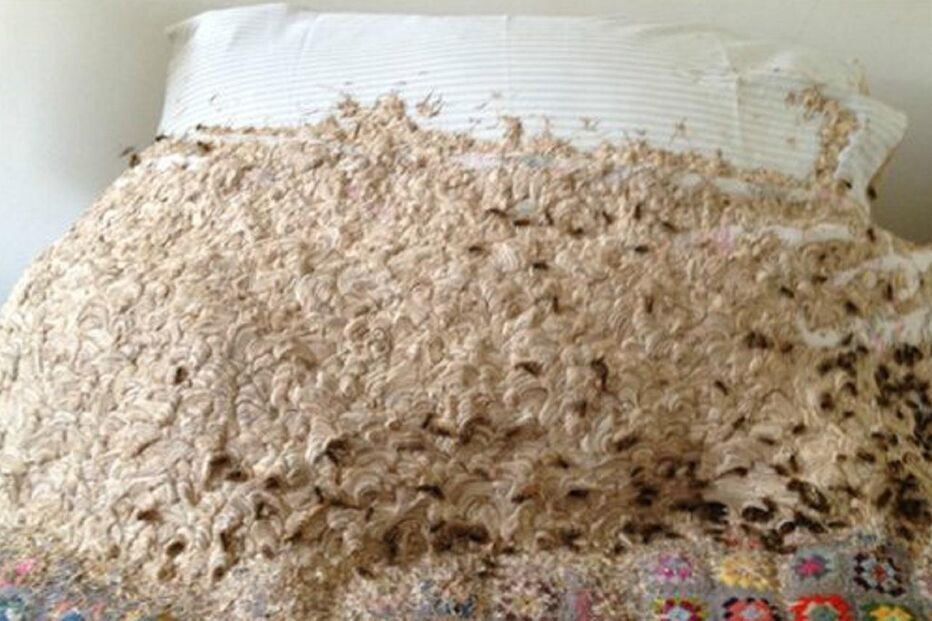 vespas, cama, inglaterra