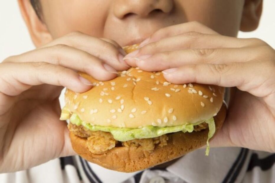 comida, plástico, fast food, junk food, hamburguer