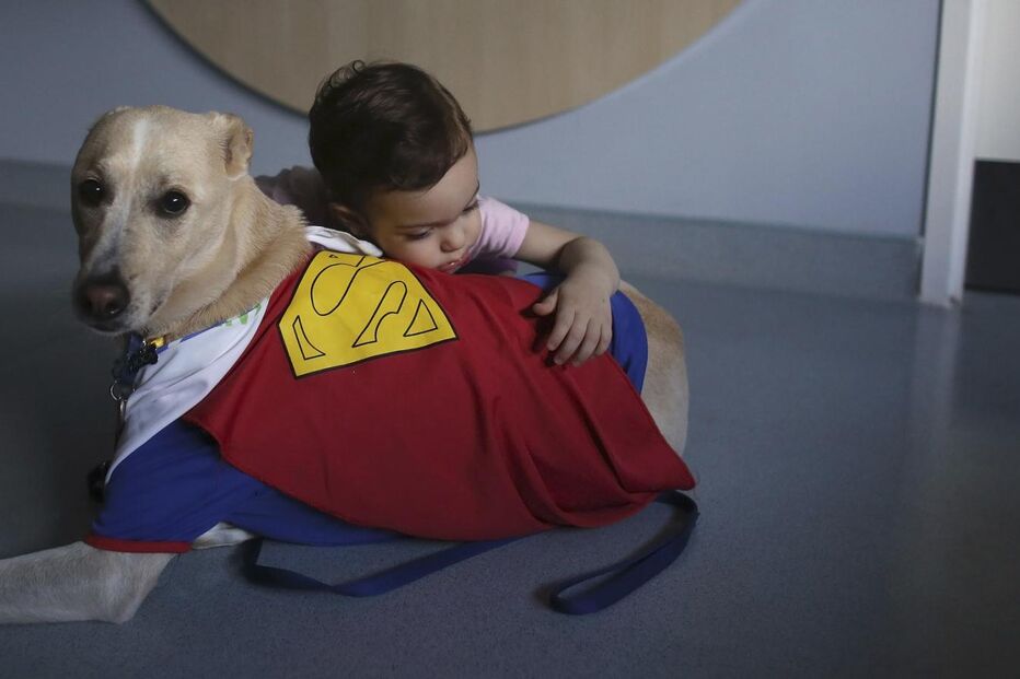 criança, cão, bebé, animal, amizade, abraço