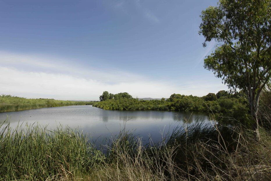 associação ambientalista, Quercus, urgente, limitar, construções, Parque do Montesinho,