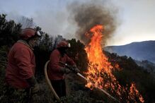 fogo, incêndio, Teixeira de Cima, Seia, Guarda, Serra da Estrela 