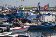pescas, barcos