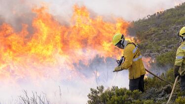 bombeiros, combatem, incêndio, Vinhais, Bragança