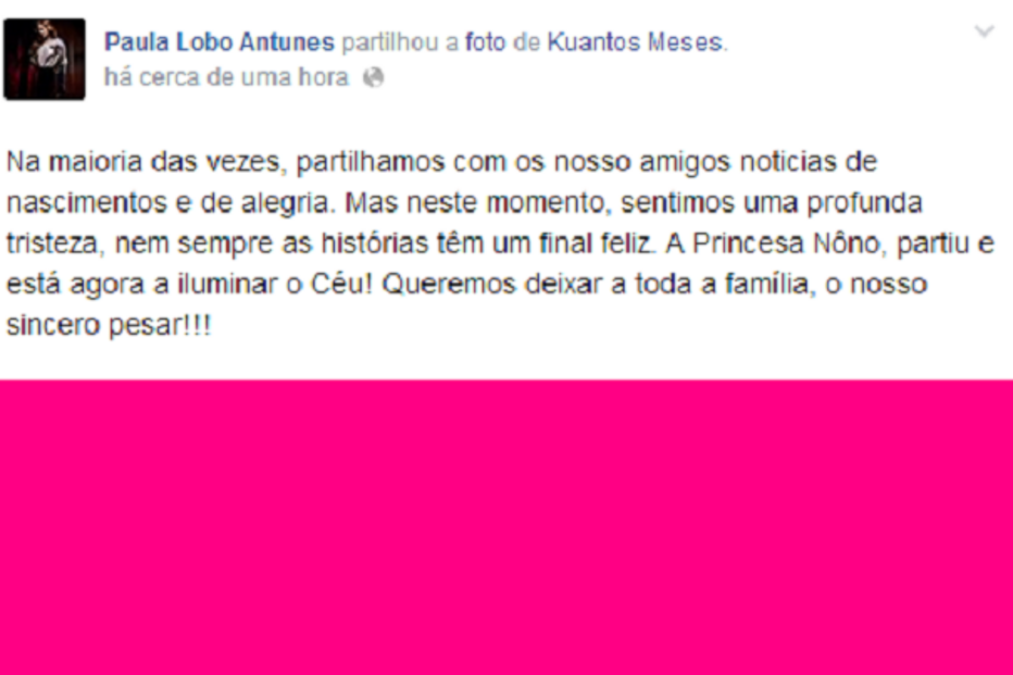 Paula Lobo Antunes