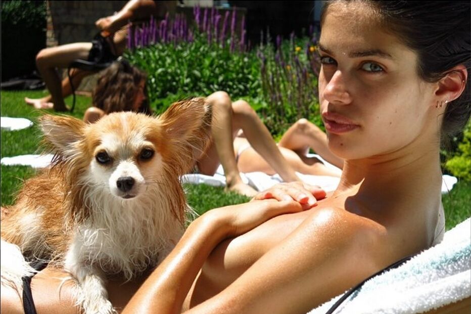 06-09-2014_16_29_11 sara imagem.jpg