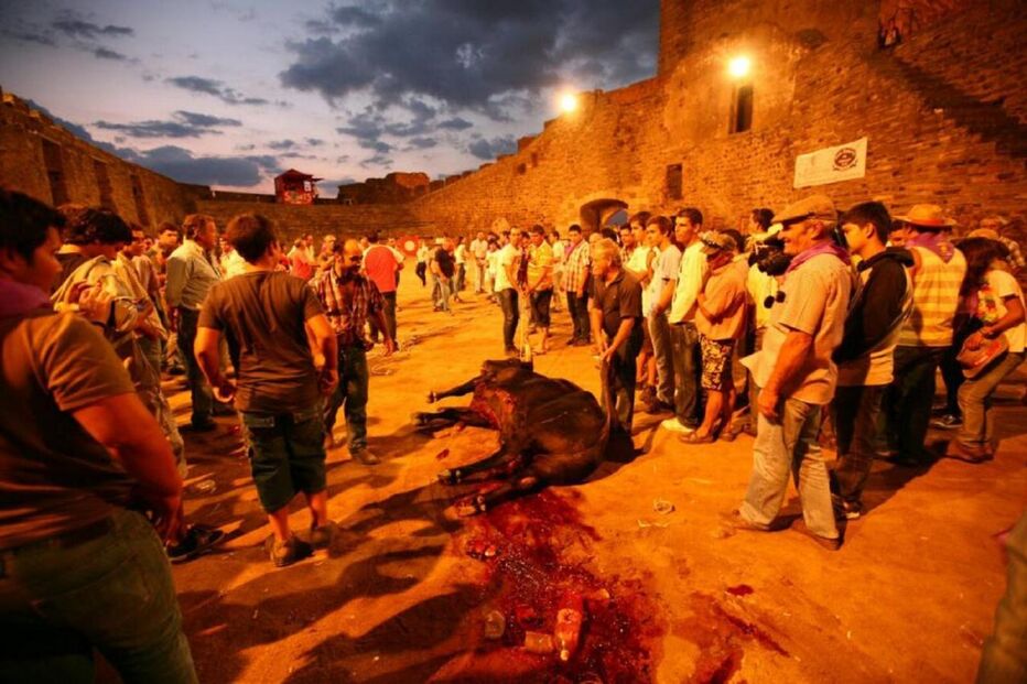 touros, monsaraz, morte