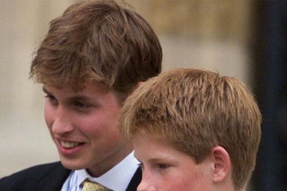 Harry, fortuna, festa, aniversário, Inglaterra, Diana, Pippa Middleton, príncipe Carlos, fortuna