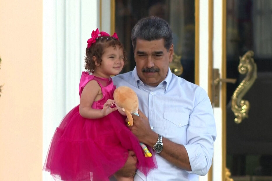 cães, pitbulls, sophie gamand