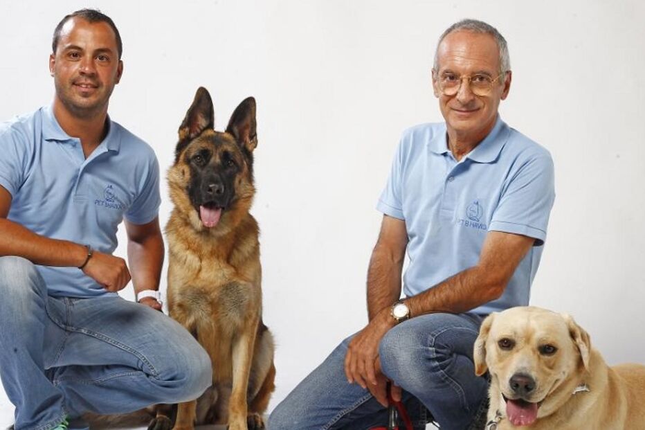 cães, roger abrantes, pedro paiva, pet b havior, instituto de etologia de cambridge