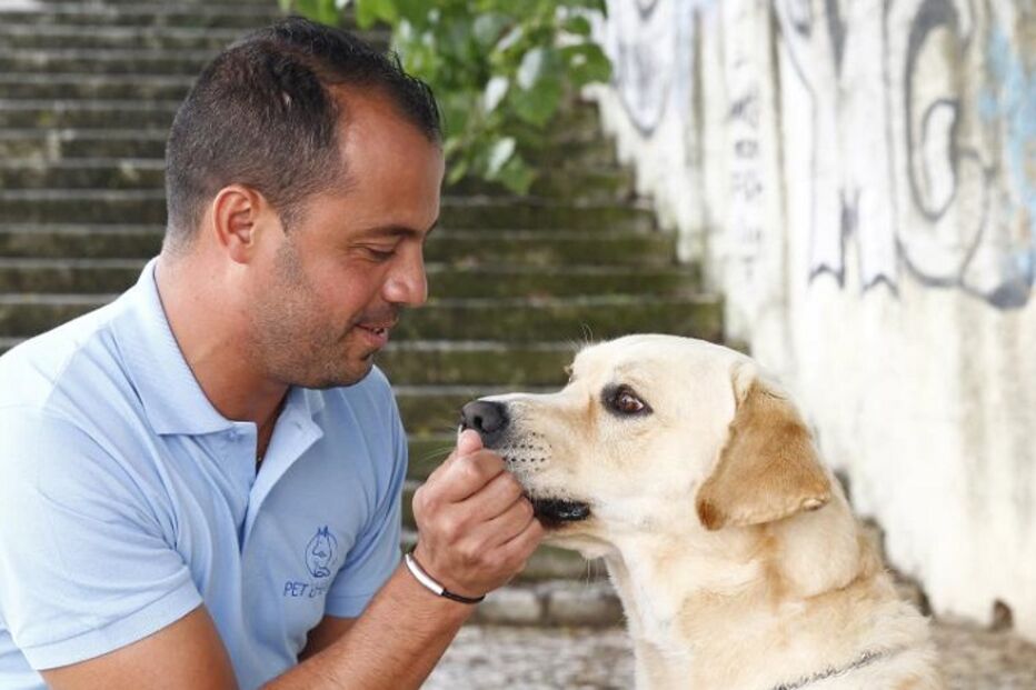 cães, roger abrantes, pedro paiva, pet b havior, instituto de etologia de cambridge