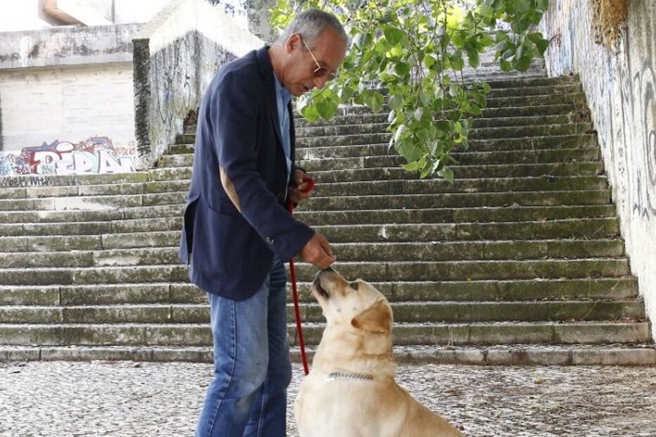 cães, roger abrantes, pedro paiva, pet b havior, instituto de etologia de cambridge