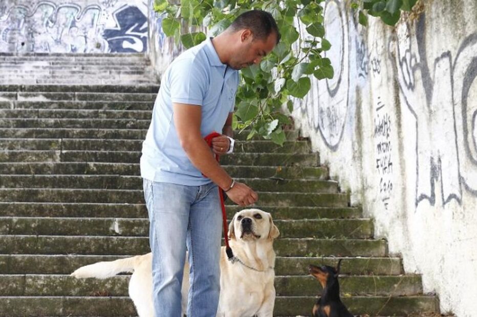 cães, roger abrantes, pedro paiva, pet b havior, instituto de etologia de cambridge