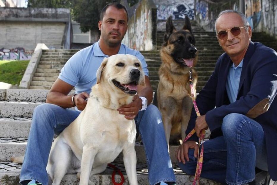 cães, roger abrantes, pedro paiva, pet b havior, instituto de etologia de cambridge