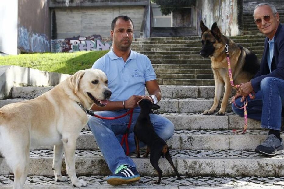 cães, roger abrantes, pedro paiva, pet b havior, instituto de etologia de cambridge