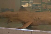 13-10-2014_20_41_15 01.jpg