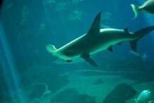 13-10-2014_20_41_22 02.jpg