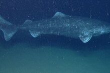 13-10-2014_20_41_30 03.jpg