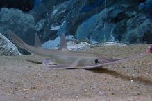 13-10-2014_20_41_38 04.jpg