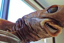 13-10-2014_20_41_46 05.jpg