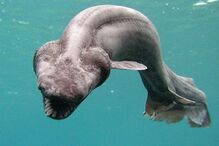 13-10-2014_20_42_00 07.jpg