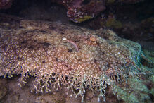 13-10-2014_20_42_08 08.jpg