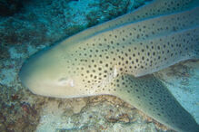 13-10-2014_20_42_18 09.jpg