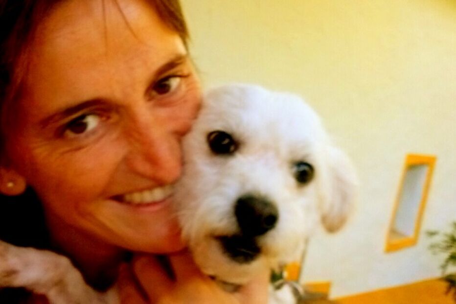 carla nobre, são marcos, cão, becas