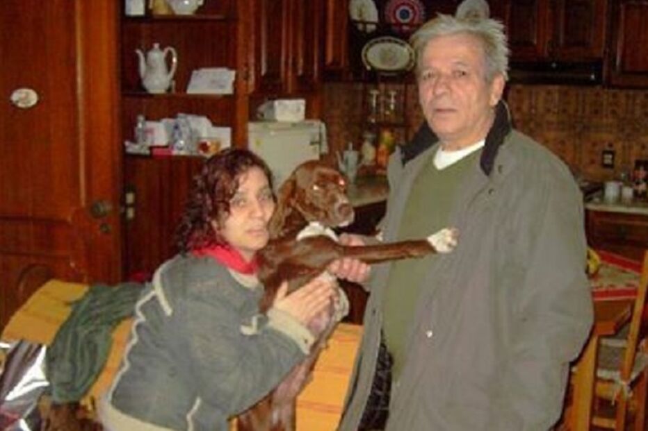 leitora, cátia costa, animais de estimação