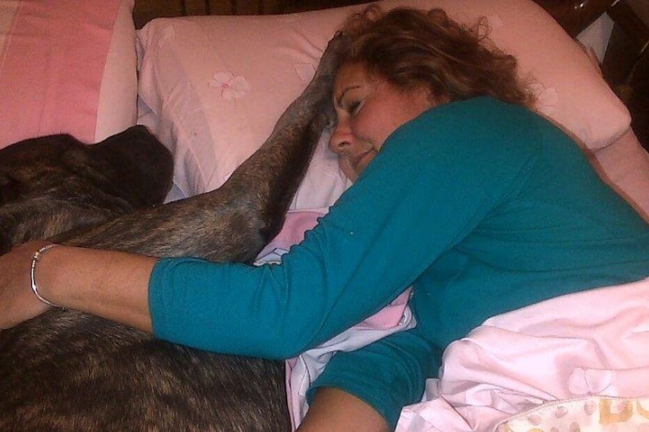 leitora, cães, Marisa Gomes, Odivelas, Bonnie