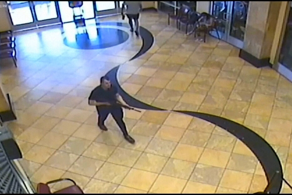 Pipocas, Mafra, cão. moto