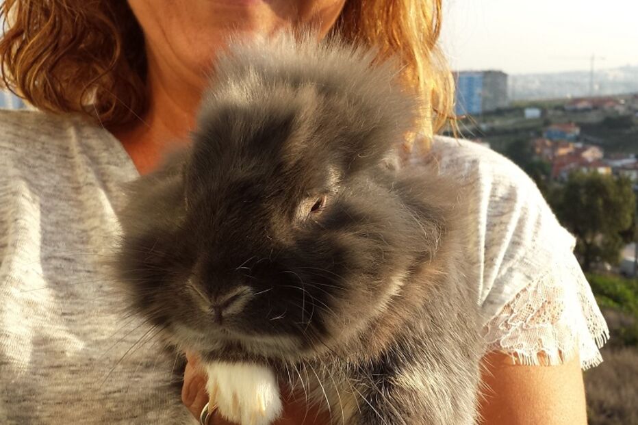 Balu, Ramada, Odivelas