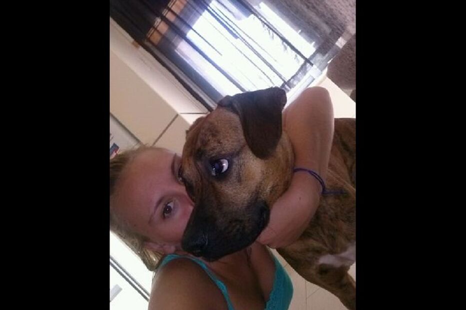 02-10-2014_22_08_11 glorioso.jpg