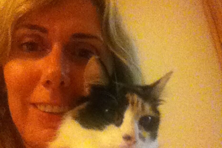 Sandra, Lola, Maia, Betty, gatos