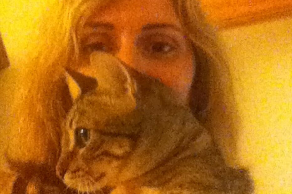 Sandra, Lola, Maia, Betty, gatos