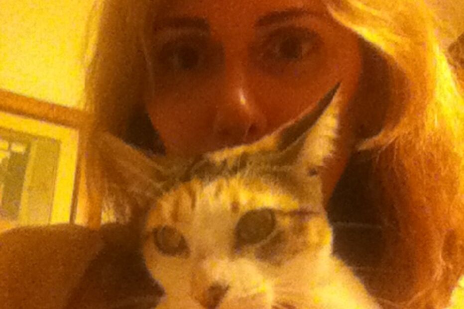 Sandra, Lola, Maia, Betty, gatos