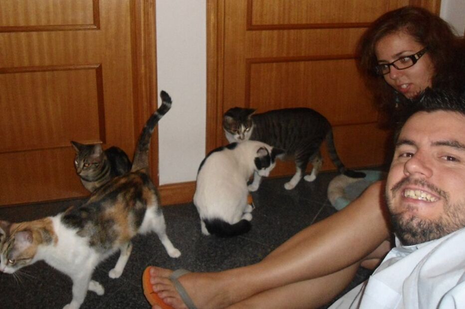 Sandra, Lola, Maia, Betty, gatos