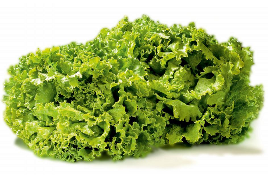 alface, biológica, orgânico