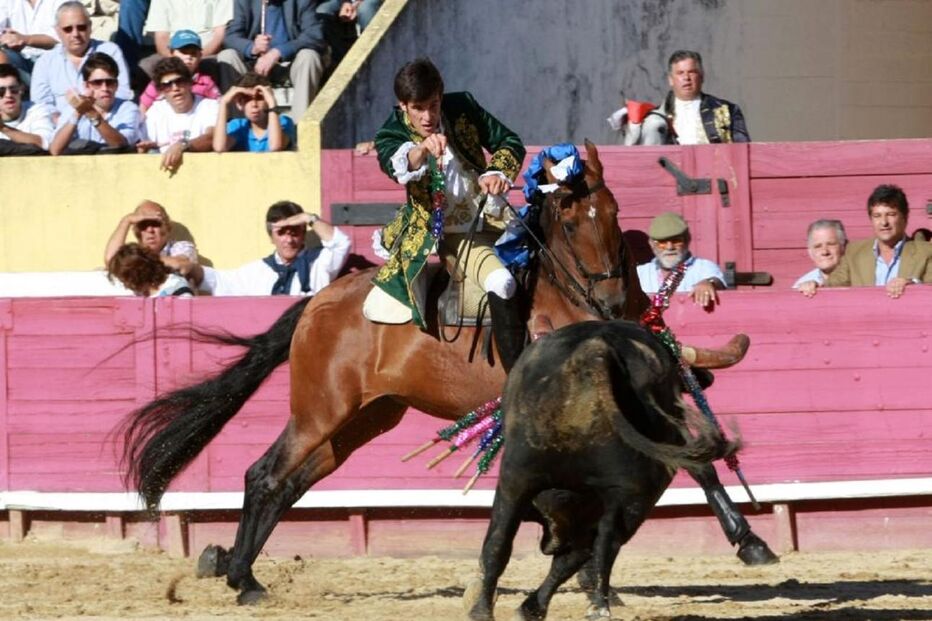 tomás pinto, cavaleiro