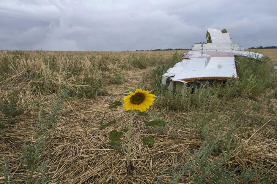 voo MH17, malaysia airlines