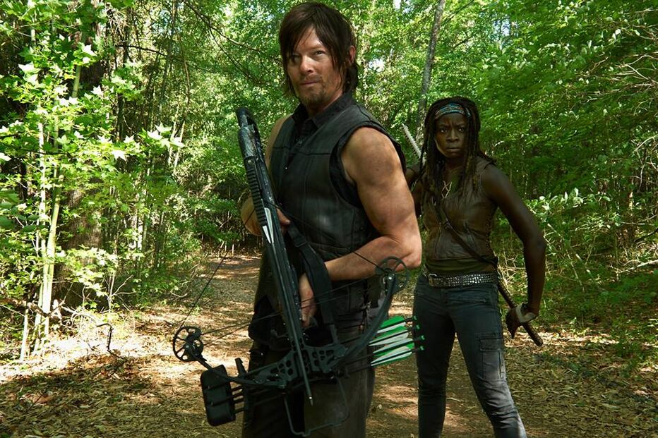 the walking dead, série, zombies, fox, amc