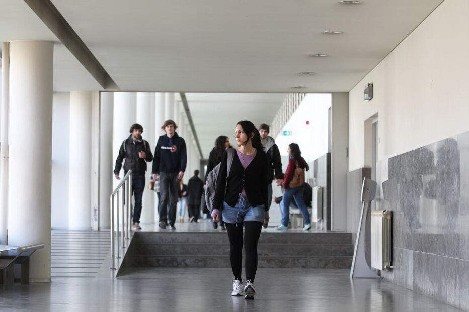 Estudantes, estrangeiros, ensino superior, Portugal, Brasil, países lusófonos