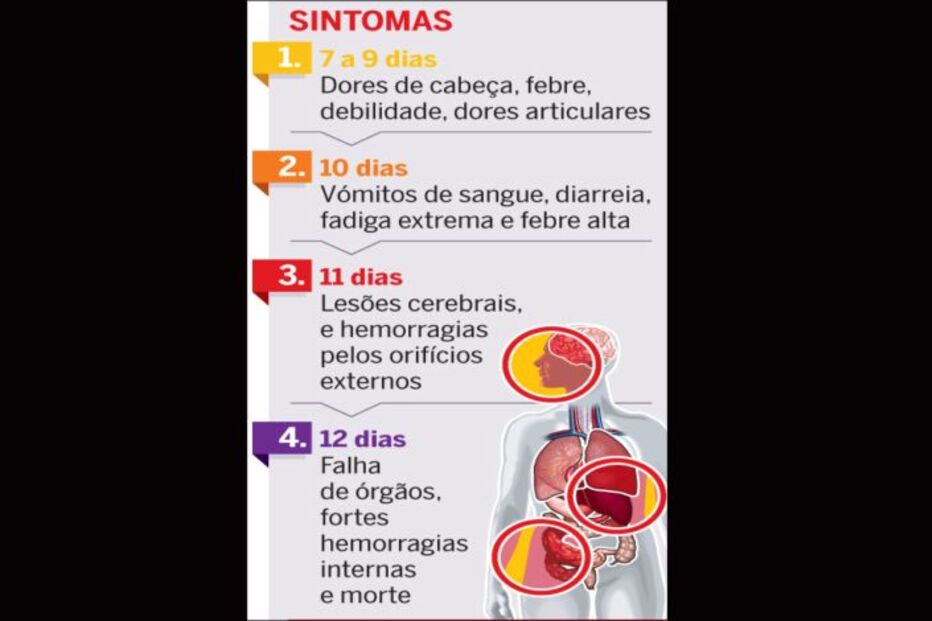 11-10-2014_23_45_38 ebola3.jpg