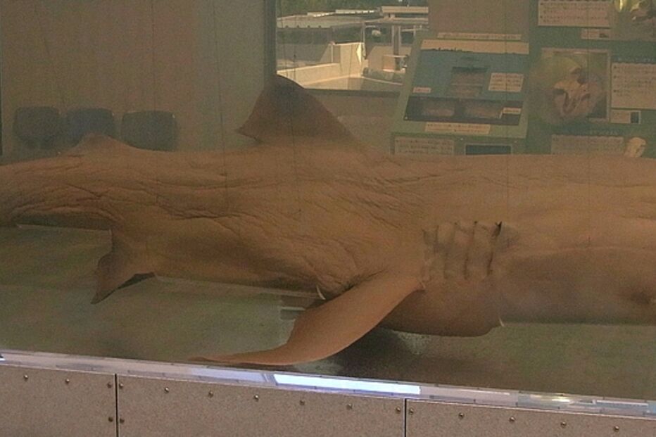 13-10-2014_20_41_15 01.jpg