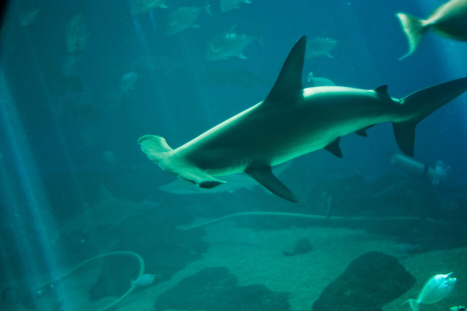 13-10-2014_20_41_22 02.jpg