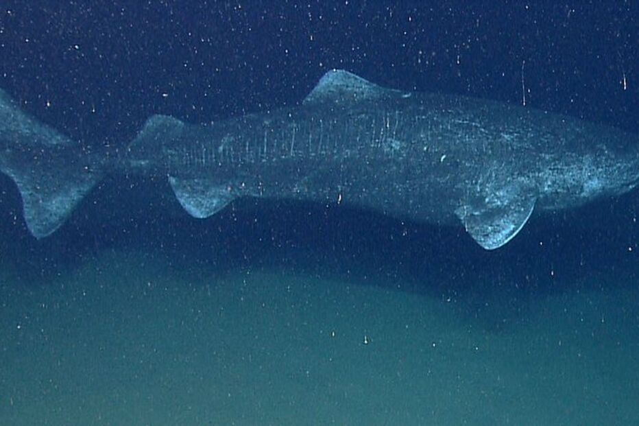 13-10-2014_20_41_30 03.jpg