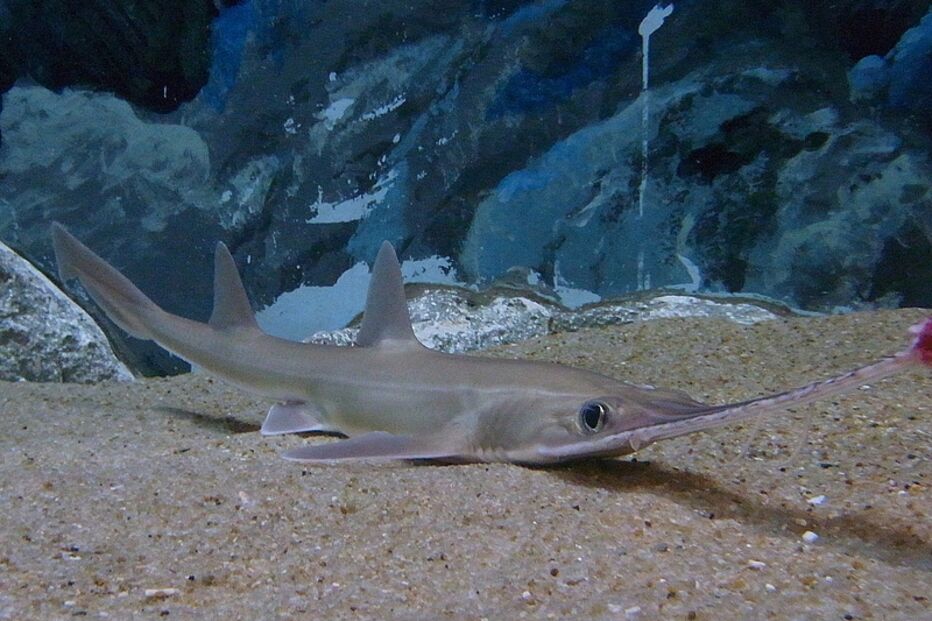 13-10-2014_20_41_38 04.jpg