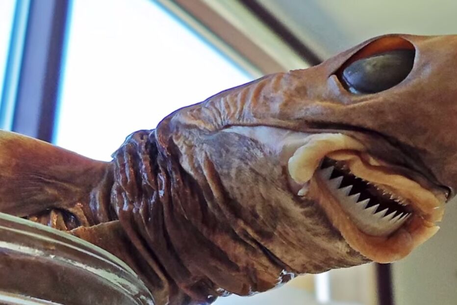 13-10-2014_20_41_46 05.jpg