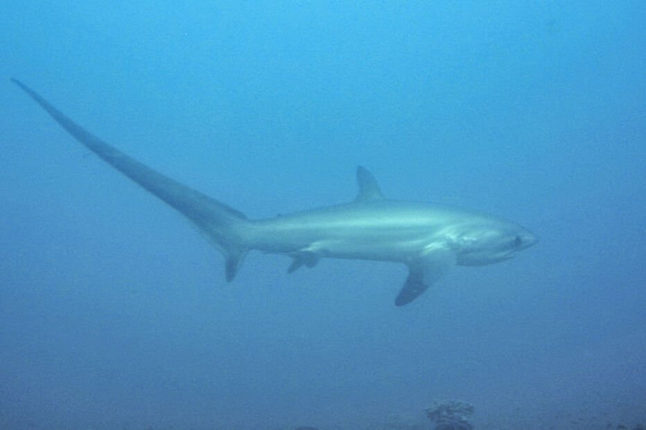 13-10-2014_20_41_53 06.jpg