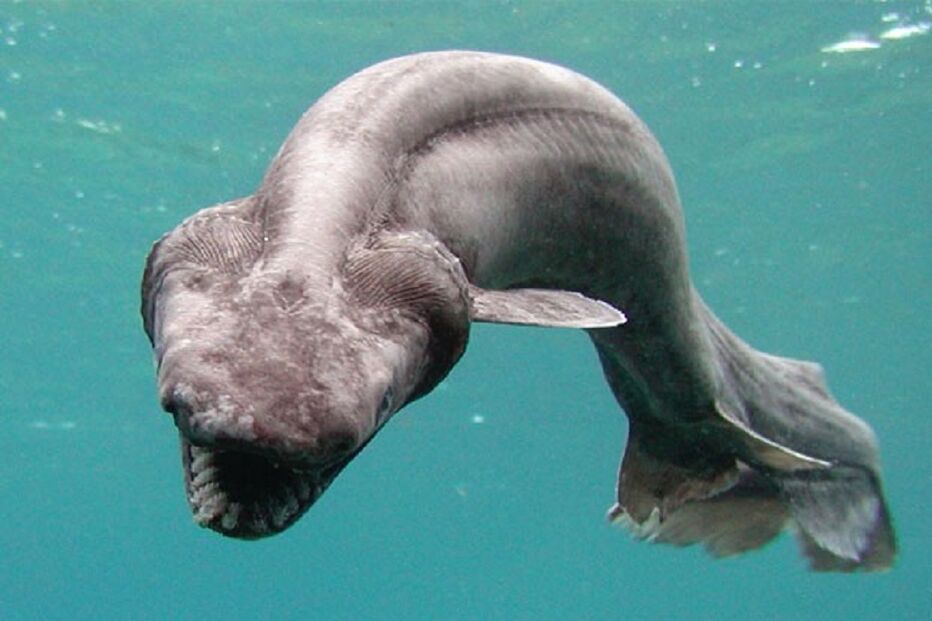 13-10-2014_20_42_00 07.jpg